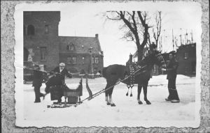 Winter 1947
Paard met arrenslede voor stadhuis
