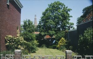 018704.jpg