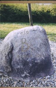 024950.jpg