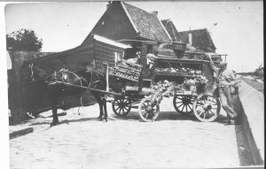 1923
Groentenboer Toon Brakeboer (Ora-Et-Labora van de Meerlaan) hier op het einde Oosterhaven
