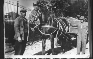 Piet (l)  en zoon Arie Loos, vuilniskar, Hoogesteeg
