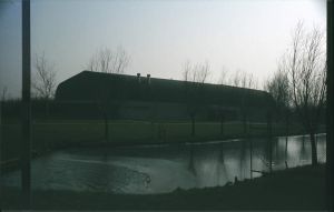 032035.jpg