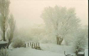 032629.jpg