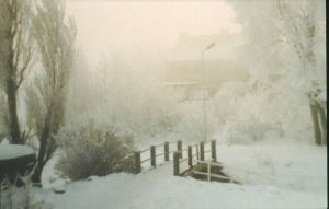 032633.jpg