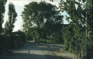 032643.jpg