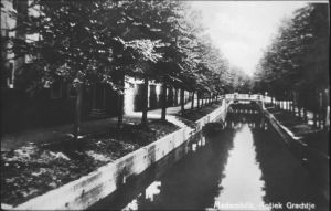 030638.jpg
