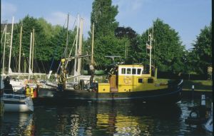 043304.jpg