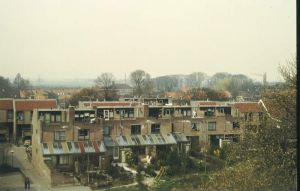 042533.jpg