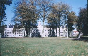 042540.jpg