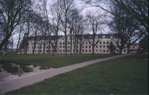 042542.jpg