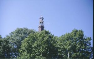 040133.jpg