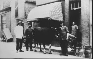 1933
Slager Lammert Fransen (L), Jaap Renooy, Jan Steeman met paaskoe voor de slagerij in de Torenstraat. Later Hansen en Bloedjes. Meisje onbekend
