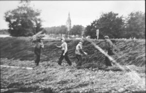 1925
Opslag rijshout, Pekelharinghaven/Hoogesteeg ZZW
