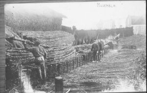 1925
Opslag rijshout Pekelharinghaven
