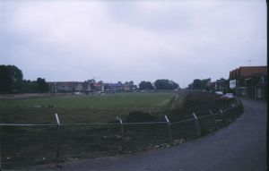 054309.jpg