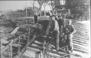 1925
Rijshout op Hoogesteeg. ZZW.
