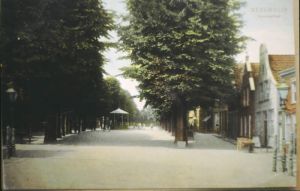 066036.jpg