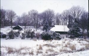 065402.jpg