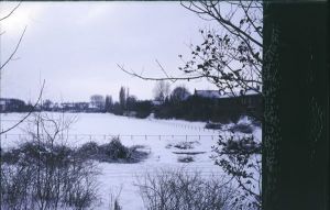 065411.jpg