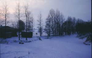 065501.jpg