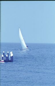 065203.jpg