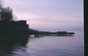 065208.jpg