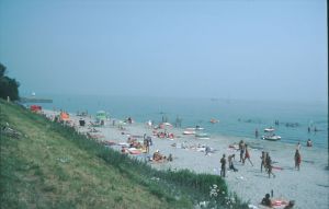 065215.jpg