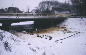 Nieuwe Baenebrug, Westersingel, Hoogesteeg, Oostersingel
