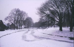 065444.jpg