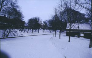 065445.jpg