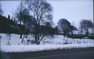 065446.jpg