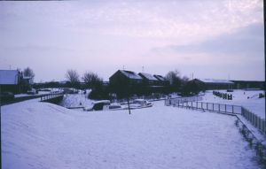 065447.jpg