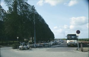 076736.jpg
