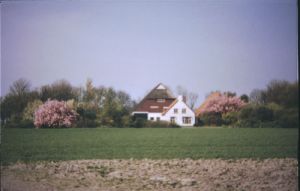 076925.jpg