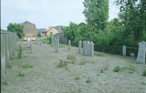 076517.jpg