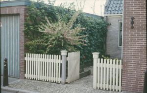 087716.jpg