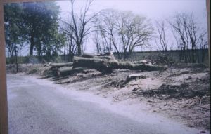 094422.jpg