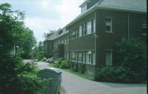 099750.jpg