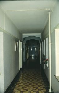 099806.jpg