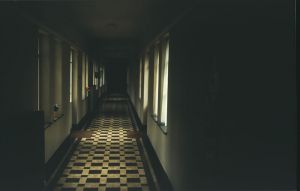 099808.jpg