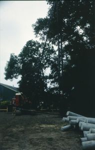 099933.jpg