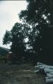 099933.jpg