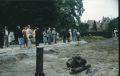 099934.jpg