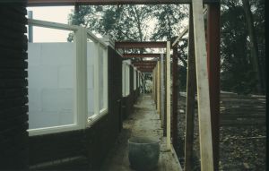 099949.jpg