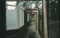 099949.jpg