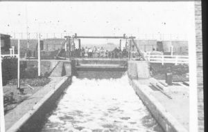 1510.jpg