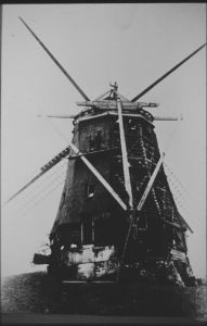 1515.jpg