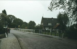 1654.jpg