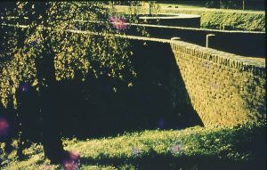k05.jpg