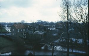 10226.jpg